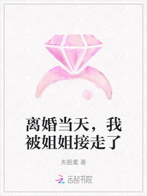 On the Day of the Divorce, I Was Picked up by My Sister