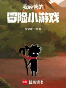 The Adventure Game I Run