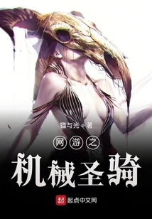 Online Game: Mechanical Paladin