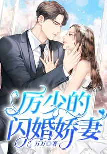 Mr. Li's Flash Marriage Wife