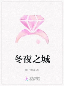 City ​​of Winter Nights