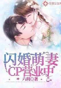 Flash Marriage Cute Wife Cp is in Business