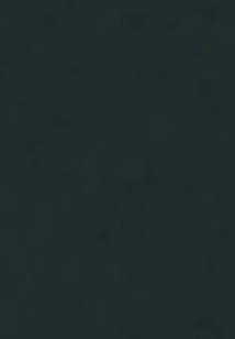 The Prince's Strong Favor: the Peerless Good-for-nothing Lady