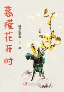 When the Hibiscus Flowers Bloom