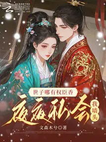 How Could the Prince Have the Power to Be a Minister? Why Would He Meet Secretly on My Wall Every Night?