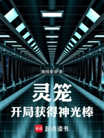 Spirit Cage: Obtain the Divine Light Rod at the Beginning