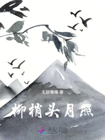 Moonlight on Willow Branches