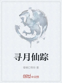 Looking for the Wonderful Moon