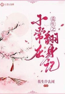 The Story of the Rebirth of Xiao Changzai