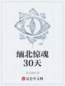 30 Days of Terror in Northern Myanmar