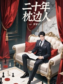 Pillow Lover for Twenty Years