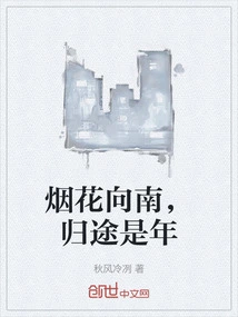 Fireworks Go South, the Way Home is the New Year