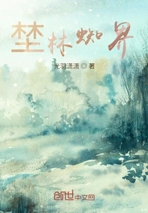 Wild Forest Spider World