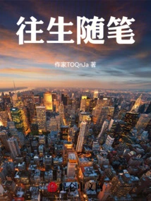 Essays on the Past Life