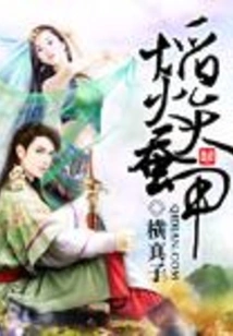 Fireworks Silkworm Armor