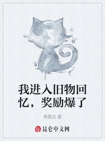 I Entered the Memories of Old Things and the Rewards Exploded