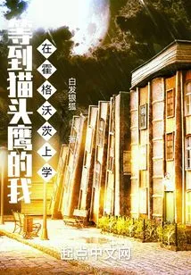 I Went to School at Hogwarts Until I Was an Owl