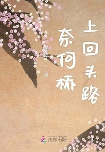 The Way Back on the Naihe Bridge