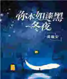 You Are Like a Dark Winter Night