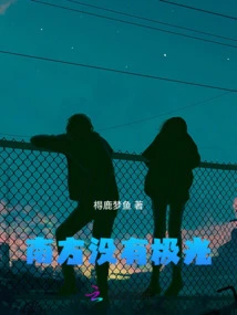 There Are No Auroras in the South