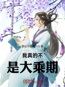 I'm Really Not in the Mahayana Stage