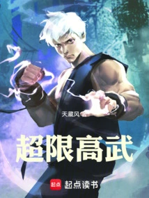 Over the Limit High Martial Arts