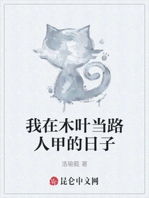 The Days When I Was a Passerby in Konoha