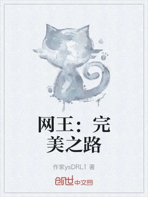 Net King: the Road to Perfection