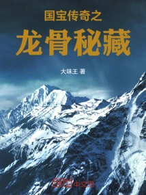 National Treasure Legend Dragon Bone Secret Collection