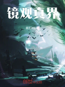 Mirror View of the Real World