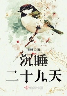 Sleeping for Twenty-nine Days