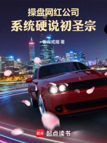 When Operating an Internet Celebrity Company, the System Insists on Chushengzong