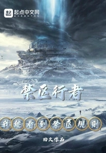 I Can See the Restricted Area Rules