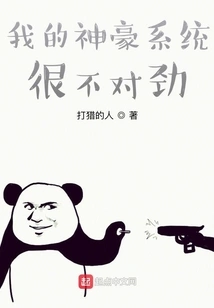 Something is Wrong with My Shenhao System