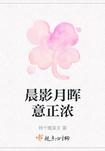 Morning Shadow and Moonlight Are Full of Meaning