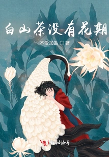 White Camellia Has No Flowering Period