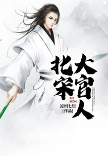 Northern Song Dynasty Official