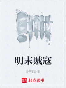 Bandits in the Late Ming Dynasty