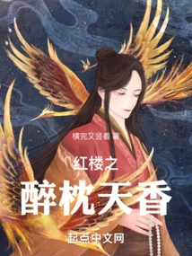 The Drunken Pillow in the Red Mansion is Fragrant