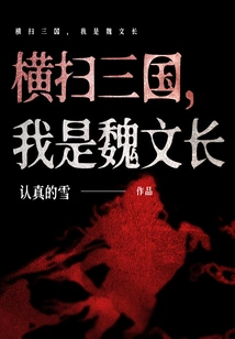 Sweeping the Three Kingdoms, I Am Wei Wenchang