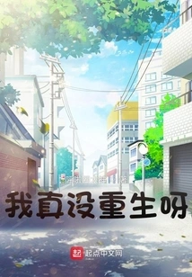 I Really Haven't Been Reborn