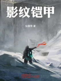 Shadow Pattern Armor