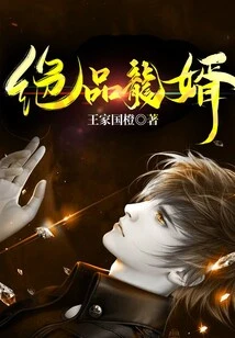 Excellent Son-in-law