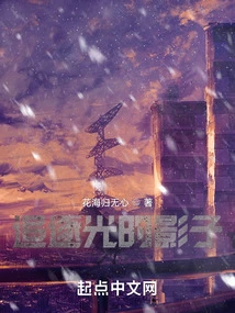 Chasing the Shadow of Light