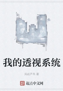 My Perspective System