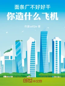 If the Noodle Factory Doesn't Work Well, What Kind of Airplane Will You Build?