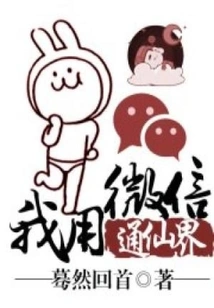 I Use Wechat to Communicate with the Fairy World