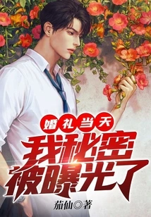 On the Wedding Day, My Secret Was Exposed