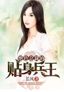 The Stunning Ceo's Personal Soldier