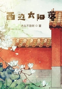 The Sun Sets in the West